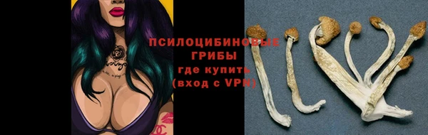 jwh Каменка