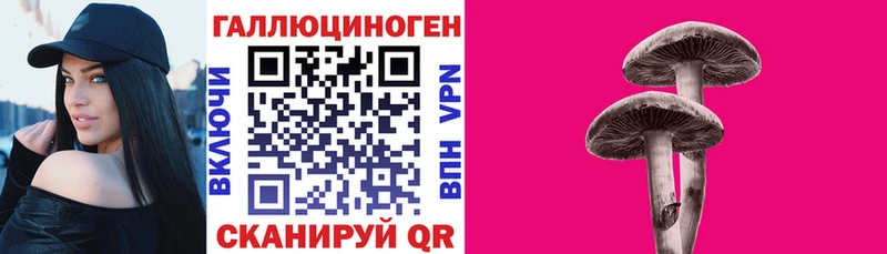 Галлюциногенные грибы мицелий  ссылка на мегу зеркало  Судак 